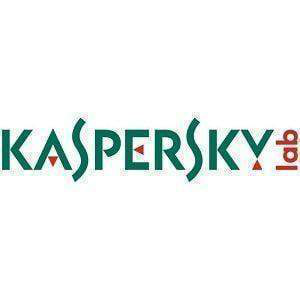Kaspersky Partner Logo